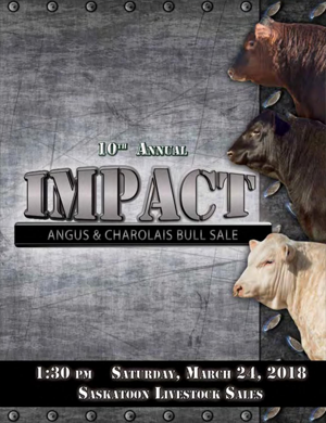 2018 catalogue cover